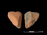 藏品(連杯形器)的圖片