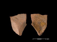 藏品(連杯形器)的圖片