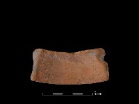 藏品(陶罐)的圖片