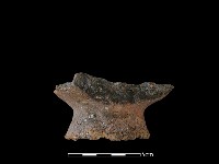 藏品(陶罐)的圖片