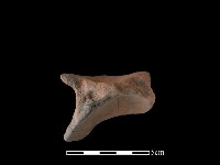 藏品(陶罐)的圖片