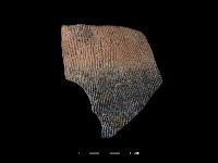 藏品(陶片)的圖片