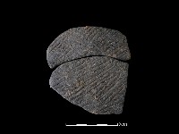 藏品(陶片)的圖片