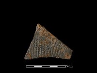 藏品(陶片)的圖片