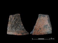 藏品(連杯形器)的圖片