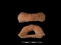 藏品(陶把)的圖片