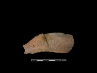 藏品(陶罐)的圖片