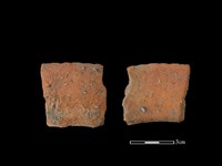 藏品(陶罐)的圖片