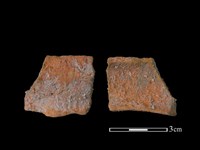 藏品(陶罐)的圖片