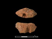 藏品(陶罐)的圖片