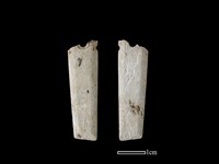 藏品(矛鏃形器)的圖片