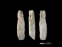 藏品(錛鑿形器)的圖片