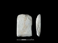 藏品(錛鑿形器)的圖片