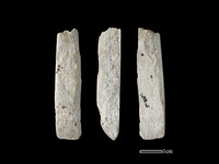 藏品(錛鑿形器)的圖片