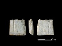 藏品(錛鑿形器)的圖片