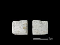 藏品(錛鑿形器)的圖片