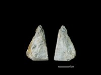 藏品(錛鑿形器)的圖片