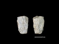 藏品(磨製石器)的圖片