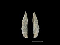 藏品(磨製石器)的圖片