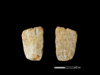 藏品(矛鏃形器)的圖片