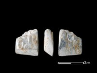 藏品(錛鑿形器)的圖片