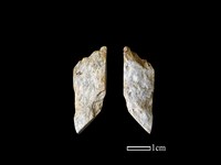 藏品(錛鑿形器)的圖片