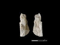 藏品(帶加工痕玉材)的圖片