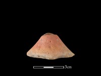 藏品(紡輪)的圖片