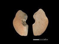 藏品(紡輪)的圖片