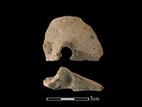 藏品(紡輪)的圖片