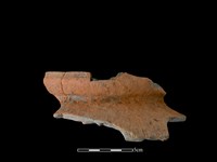 藏品(陶罐)的圖片