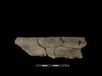 藏品(陶罐)的圖片