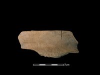 藏品(陶罐)的圖片