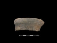 藏品(陶罐)的圖片