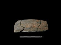 藏品(陶罐)的圖片