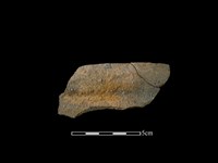 藏品(陶罐)的圖片