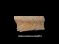 藏品(陶罐)的圖片