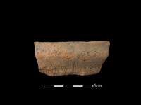 藏品(陶罐)的圖片