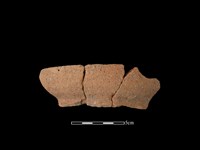 藏品(陶罐)的圖片