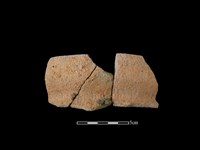 藏品(陶罐)的圖片