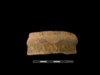 藏品(陶罐)的圖片