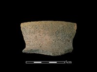 藏品(陶罐)的圖片