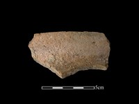 藏品(陶罐)的圖片