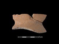 藏品(陶罐)的圖片