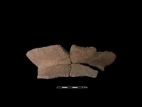 藏品(陶罐)的圖片