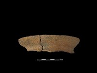 藏品(陶罐)的圖片