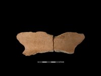 藏品(陶罐)的圖片