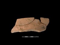 藏品(陶罐)的圖片