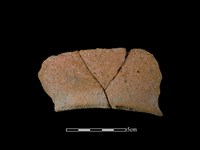 藏品(陶罐)的圖片