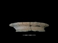 藏品(陶罐)的圖片